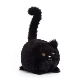 Kitten Caboodle Black