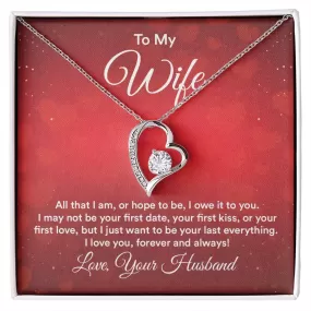 To My Wife Necklace from Husband, All That I Am, or Hope to Be, I Owe It to You